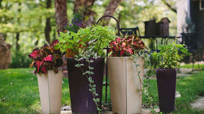 fryand-container-garden.jpg