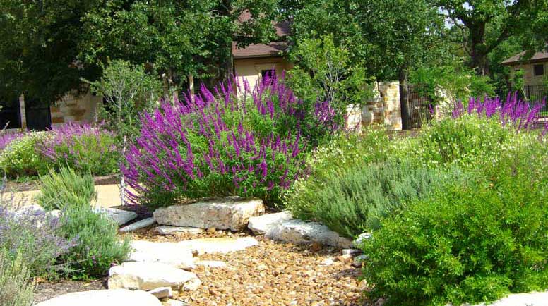 Butterfly Flower Garden Ideas