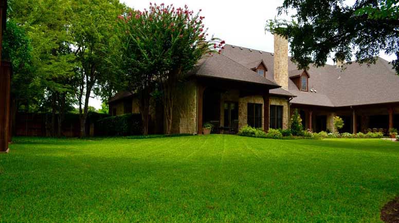 Photos-courtesy-of-Lawns-of-Dallas.jpg