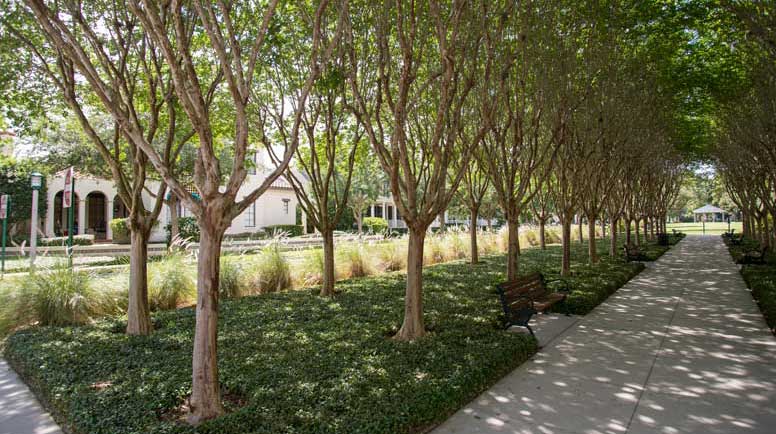 Photos-courtesy-of-The-Davey-Tree-Expert-Co.jpg