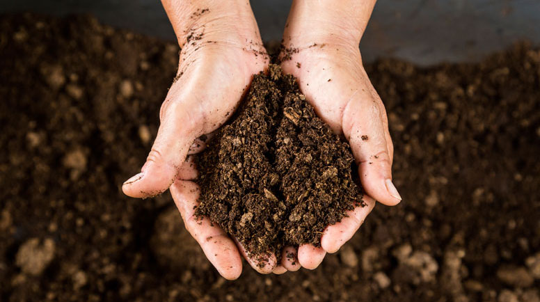 Creating and Maintaining Healthy Soil