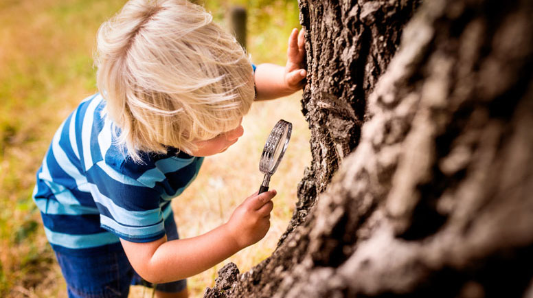 Boy-with-a-magnifying-glass-studying-a-tree's-trunk-000062798618_Large.jpg