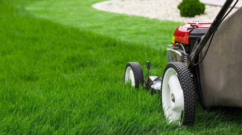 Benefits Of Turf Aeration & How Can You Do It?