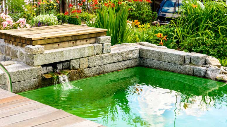 The Benefits of Adding a Stream to Your Pond