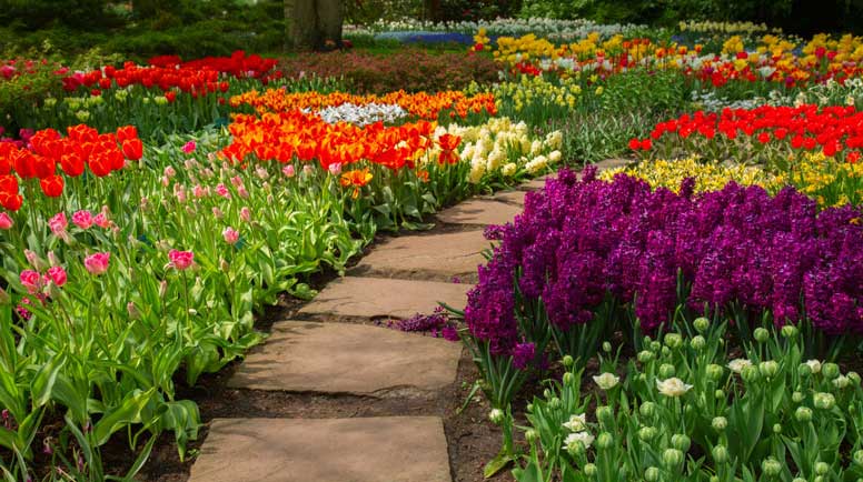 Stone-path--winding-in-a-garden-000057793060_Medium.jpg