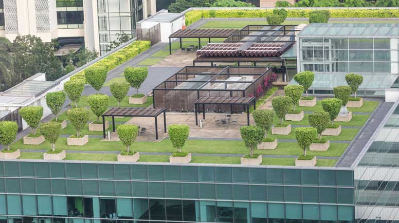 Garden-of-the-roof-concept-000026560020_Large.jpg