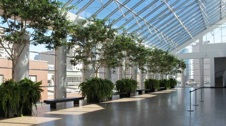 green-corridor-000029338618_Large.jpg (1)