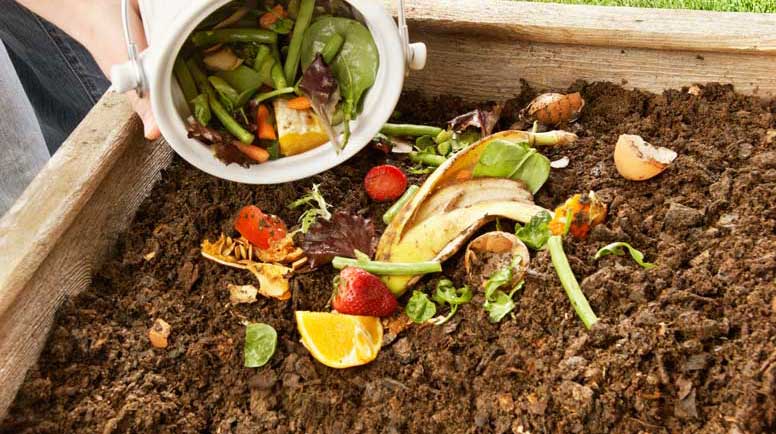 Sustainability at home: A beginner's guide to composting