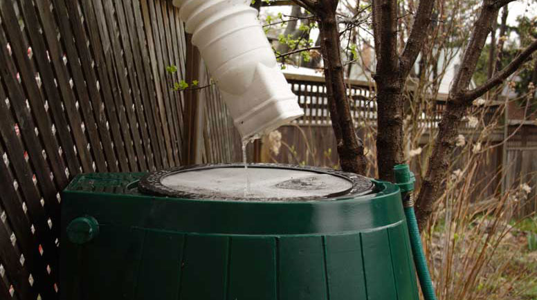 Rainwater Collection System