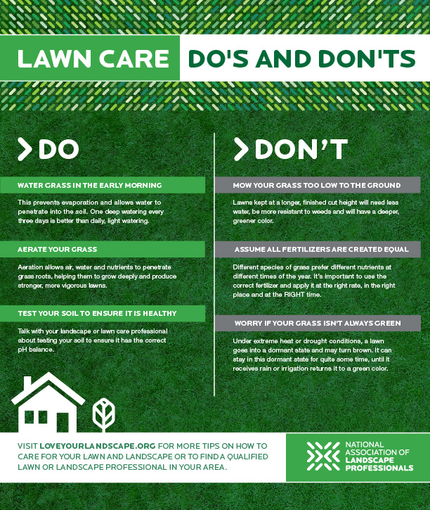 Best Lawn Care Utah