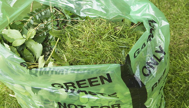 recycle and compost