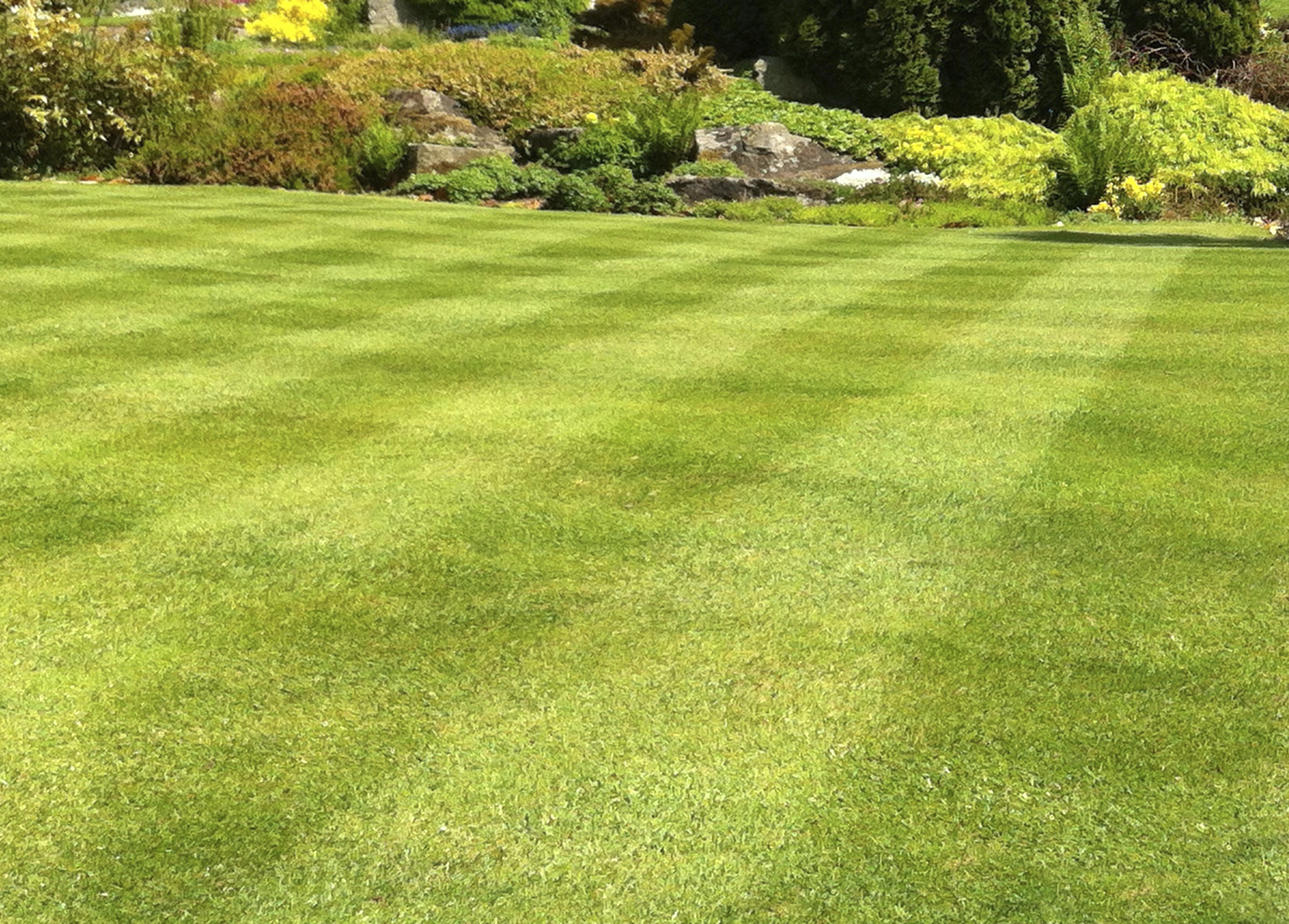 Image-of-garden-lawn-stripes,-green-grass-turf,-weedandfeed-fertiliser-000060255798_Medium.jpg