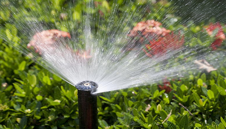 sprinkler-head-watering-the-bush-and-grass-resized.jpg