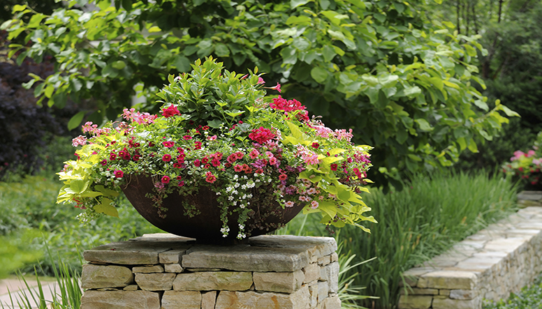 Wildflower Planter Filler