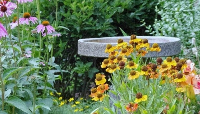 LandscapeArchitect.jpg