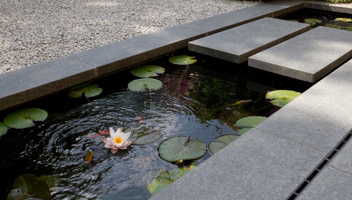 WaterFeature.jpg (1)