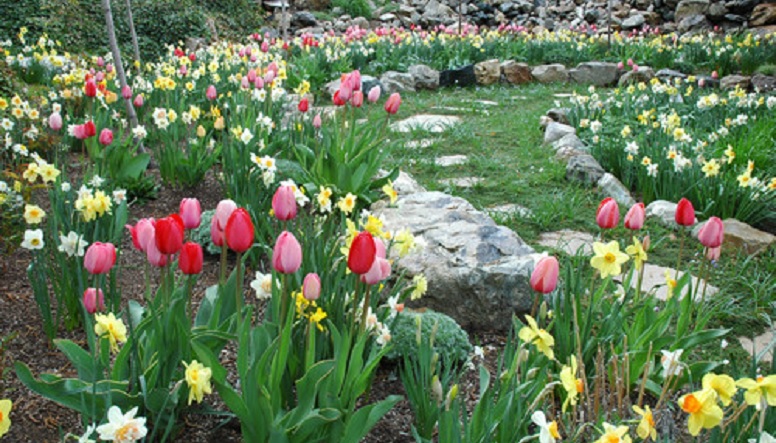 traditional-landscape.jpg