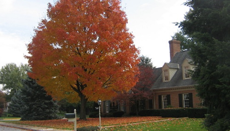 traditional-exterior.jpg