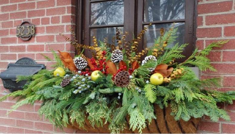 Winter Container Plantings, Holidays At Home