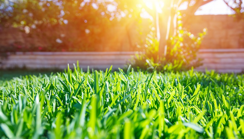 lawn care in salt lake county