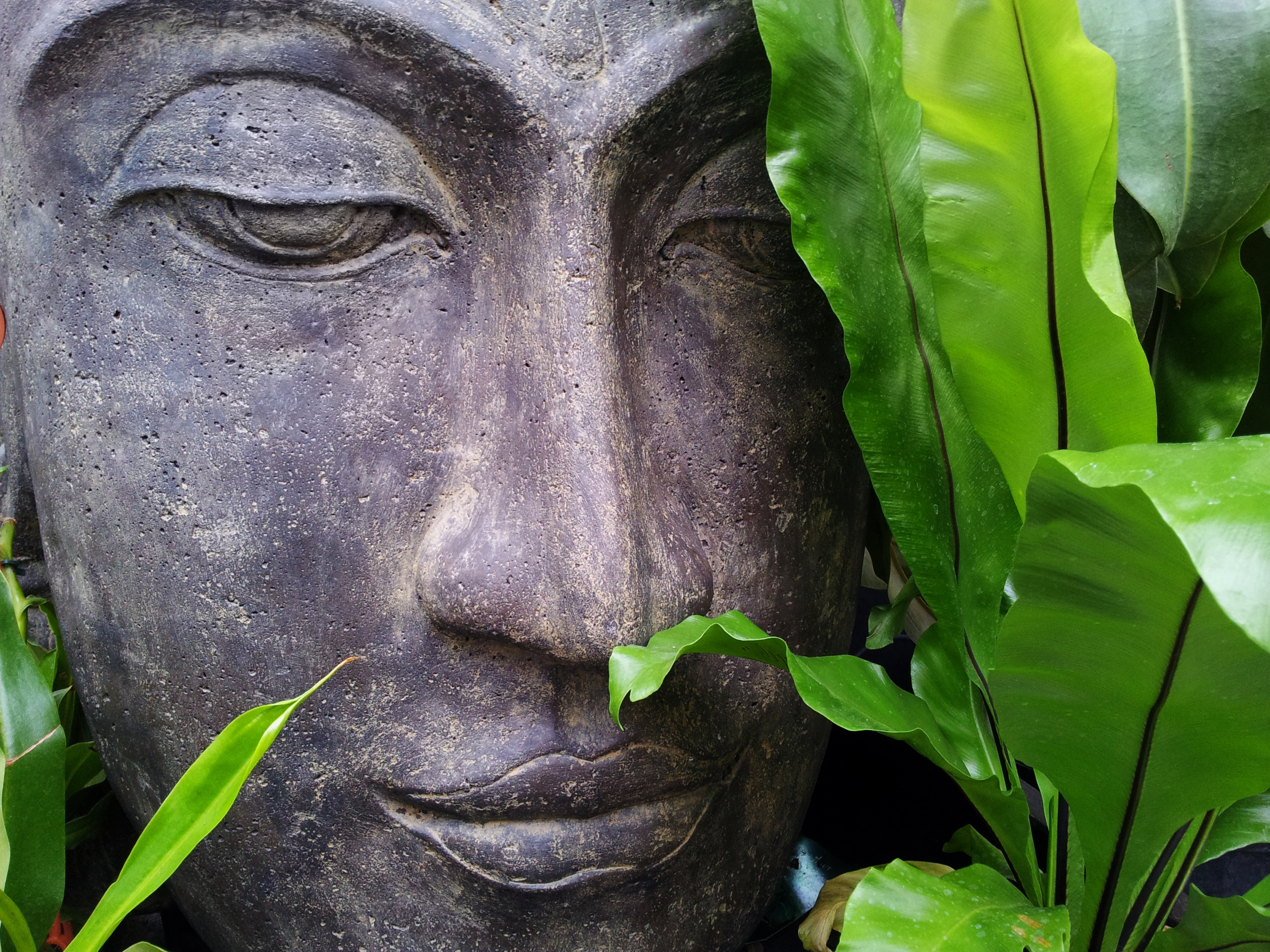 Canva - Zen, Buddha, Relax, Tranquility, Serenity, Art.jpg