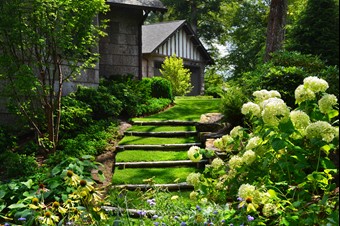 Backyard Remodel San Diego