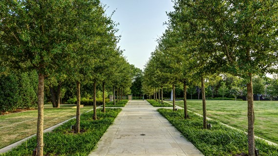 Austin Landscape Design