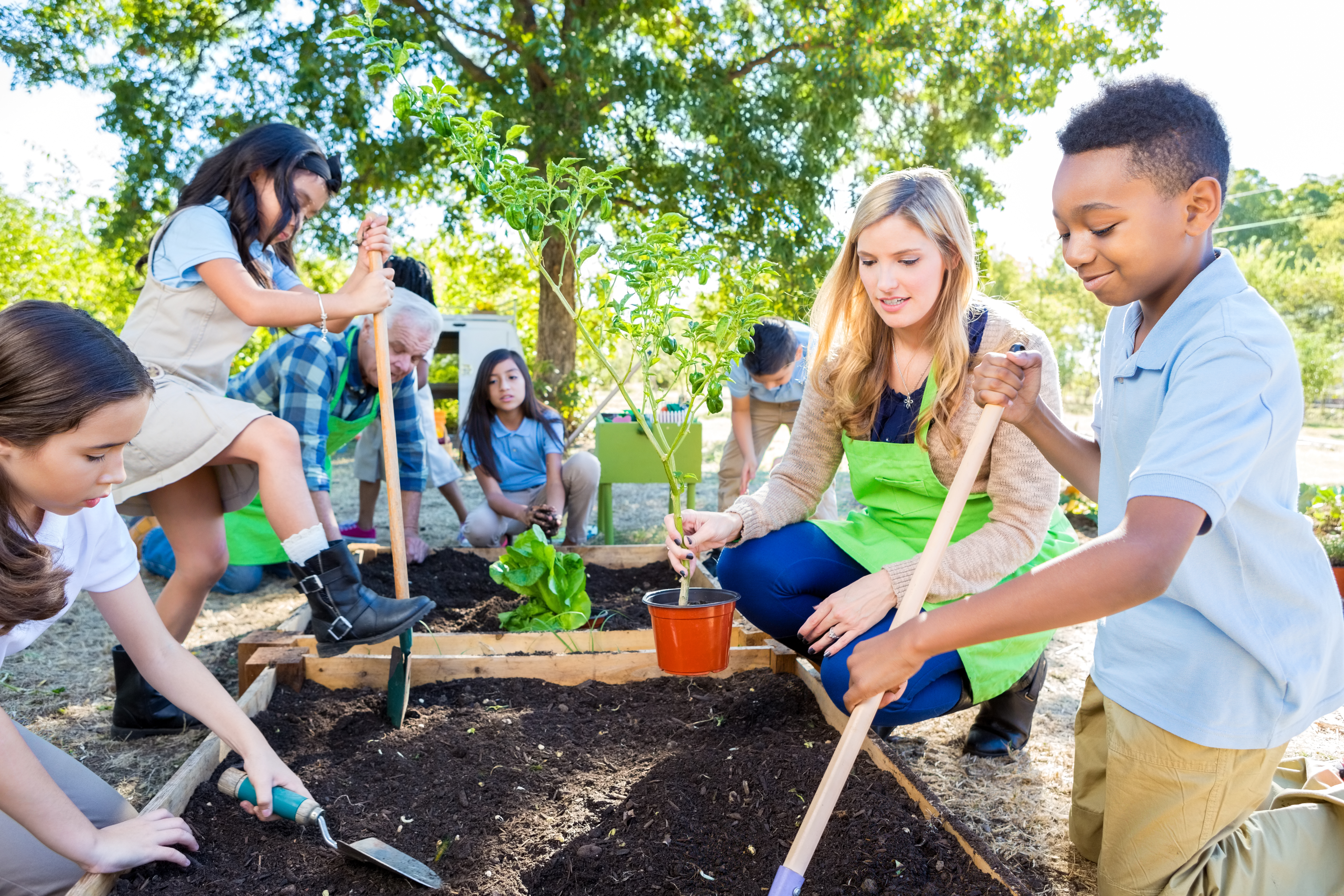 iStock-496441138.jpg