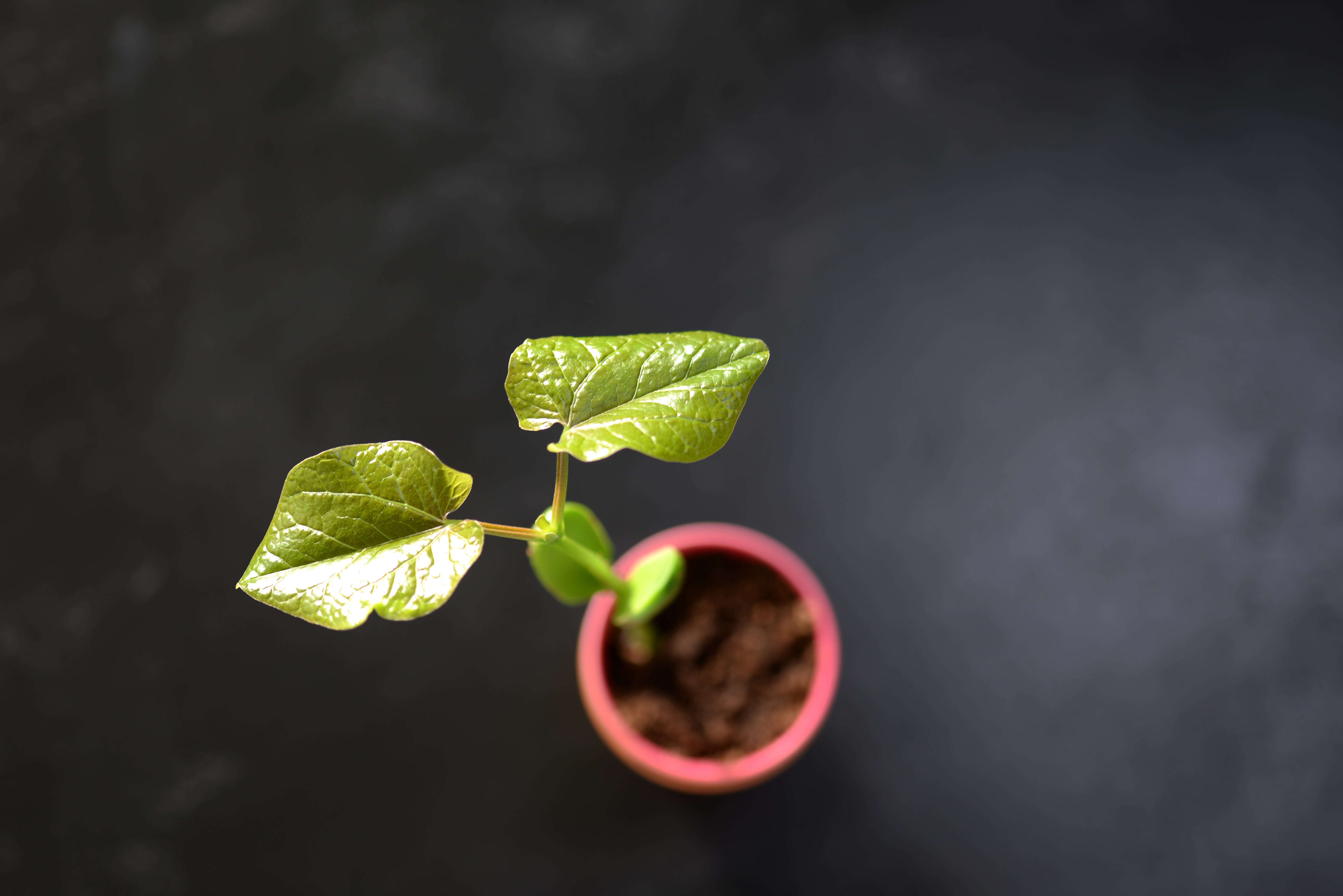 iStock-943167222.jpg
