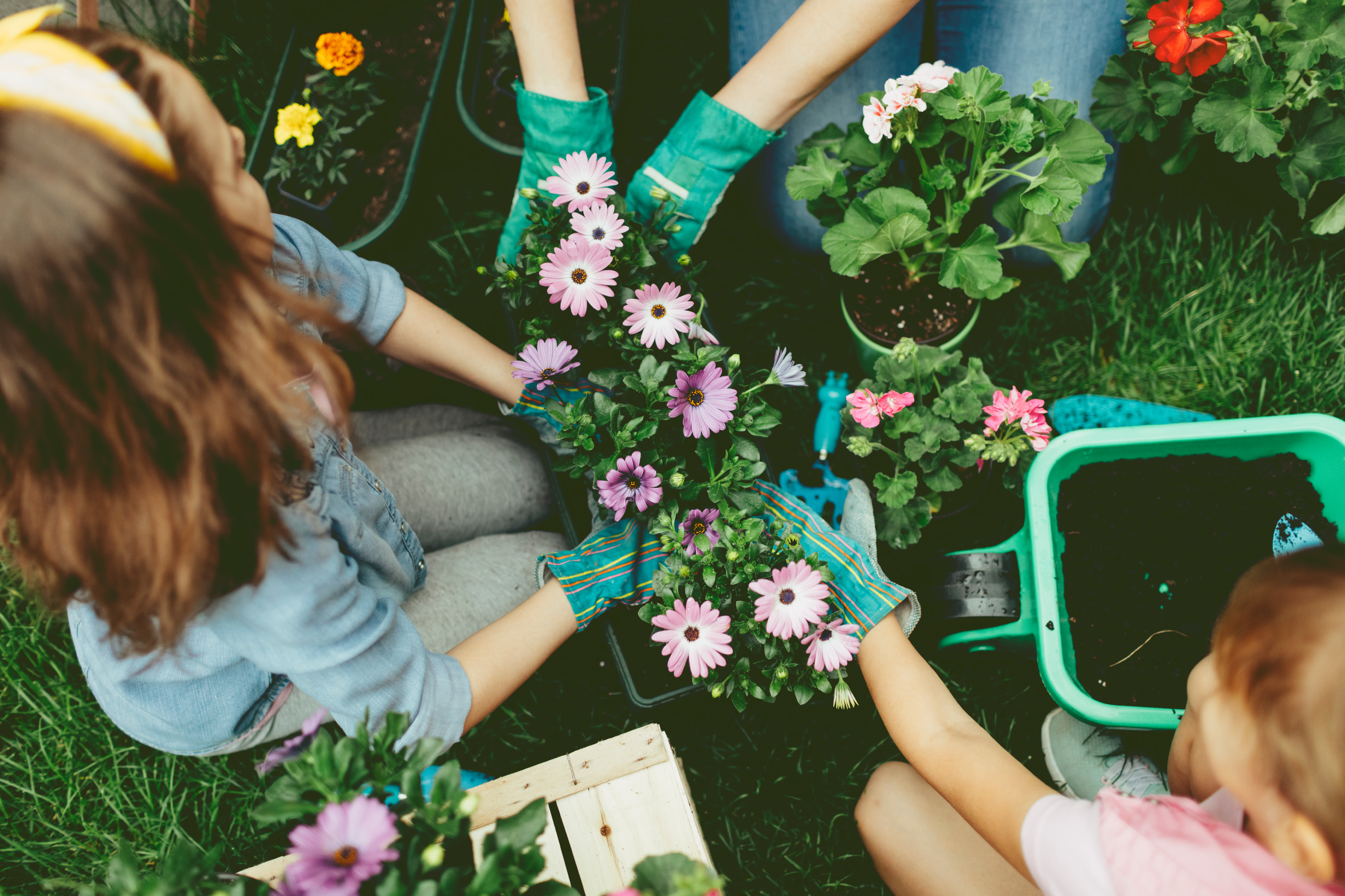 iStock-527240186.jpg