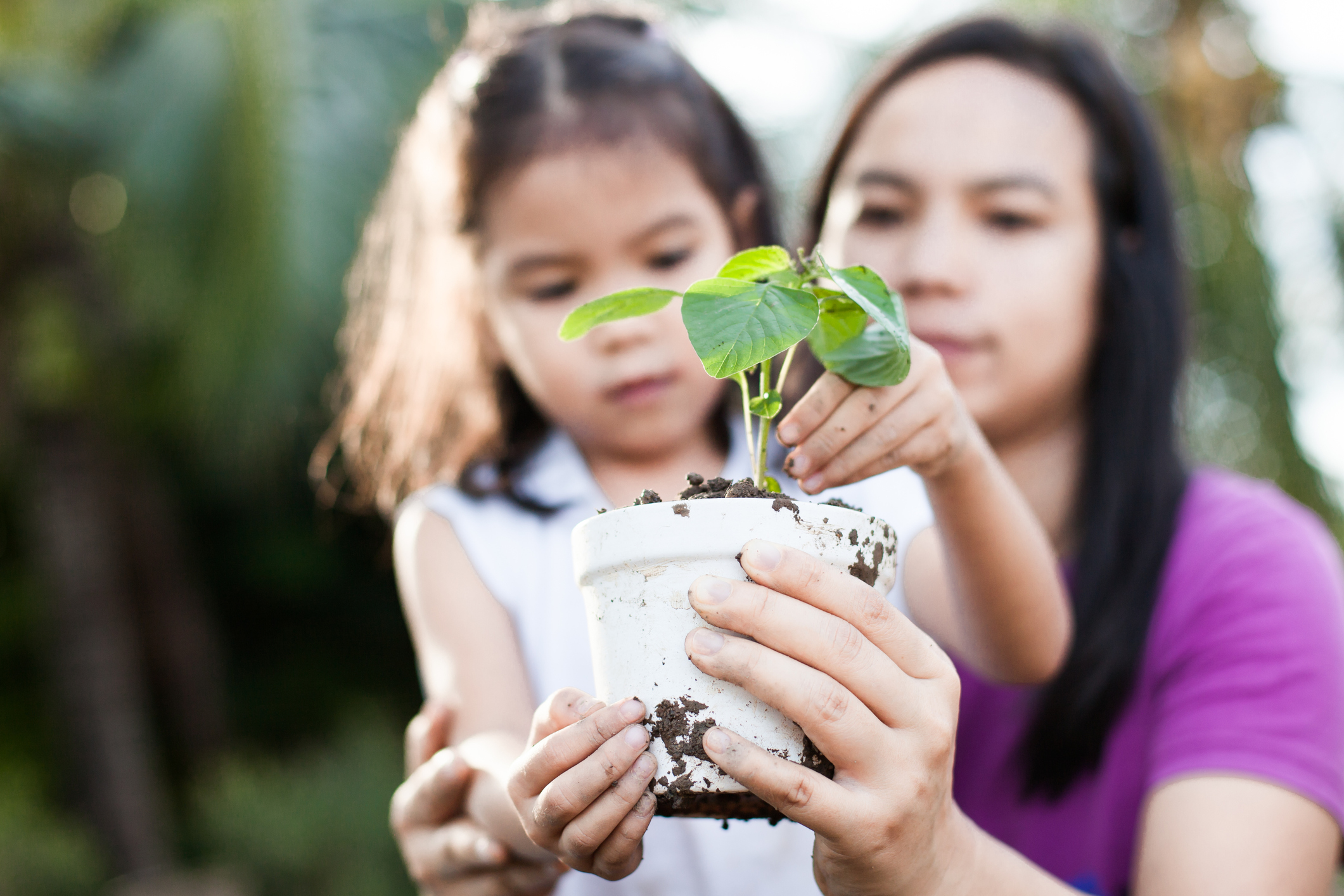iStock-882303488.jpg
