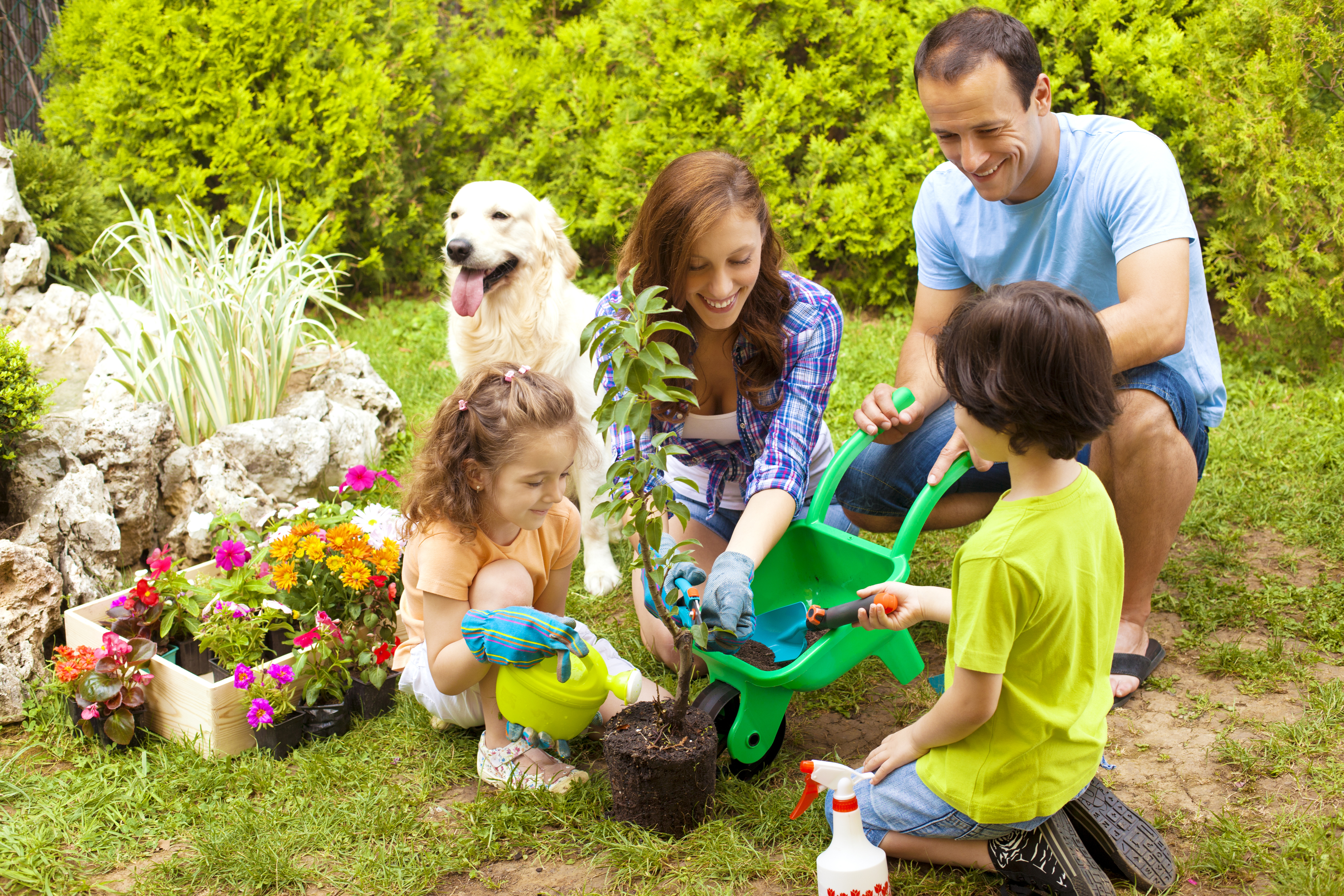 iStock-175491295 (1).jpg
